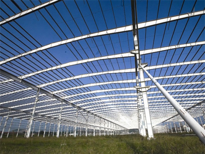 虎林网架钢结构工程有限公司