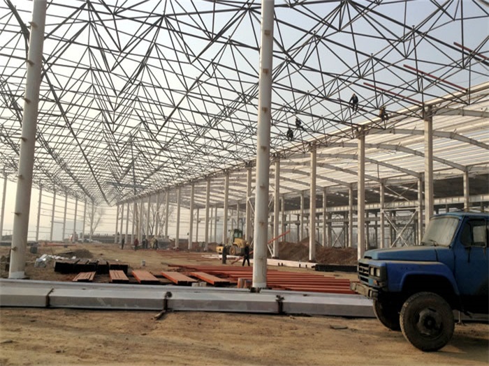 虎林网架架构工程